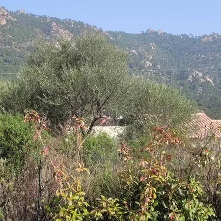 Apartment A Louer Bel 4 Personnes A Sainte-lucie Conca